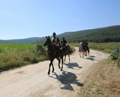 Horse riding holidays