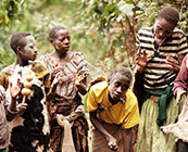 Pygmy tours