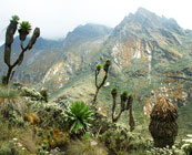 Rwenzori Mountains