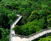 National parks