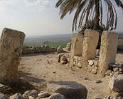 Good archaeological guides