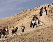 Hiking