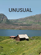 Unusual