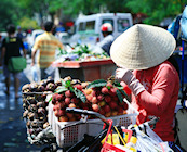 Ho Chi Minh City