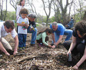 Family volunteering