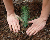 Habitat conservation