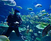 Marine conservation