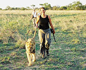 Walking with lions