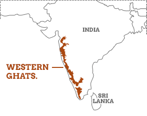Western Ghats Map Kerala Western Ghats Travel Guide