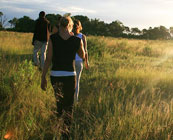 Walking safaris