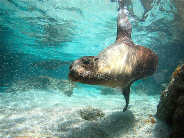 Galapagos Islands walking holiday