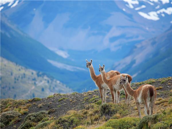 Chile adventure holiday