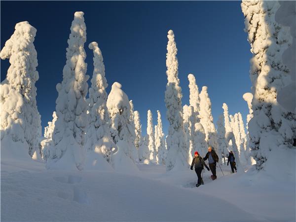 Finland snowshoeing holiday