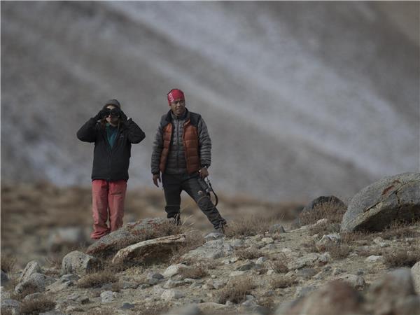 Snow Leopard searching holiday in Ladakh