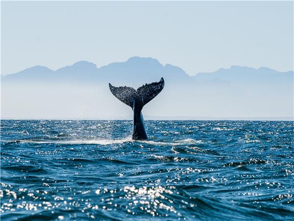 South Africa Garden Route luxury holiday