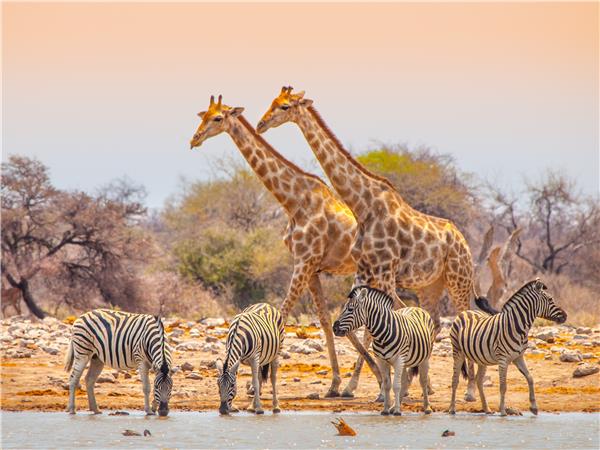 Namibia cycling holiday