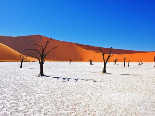 Holiday to Namibia