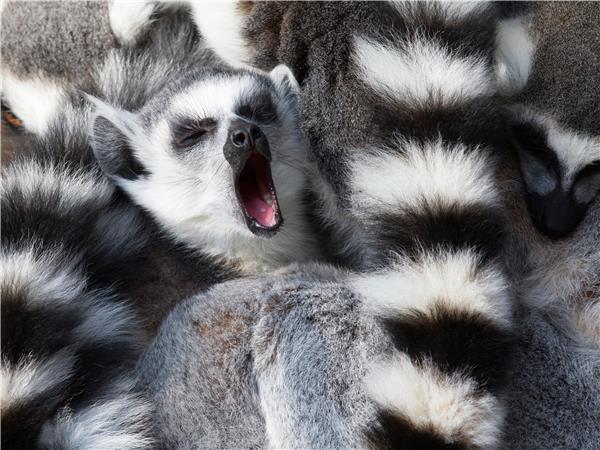 Highlights of Madagascar holiday