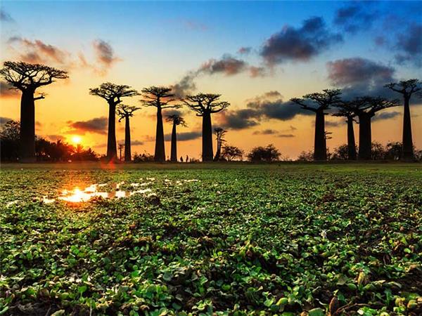 Madagascar small group holiday