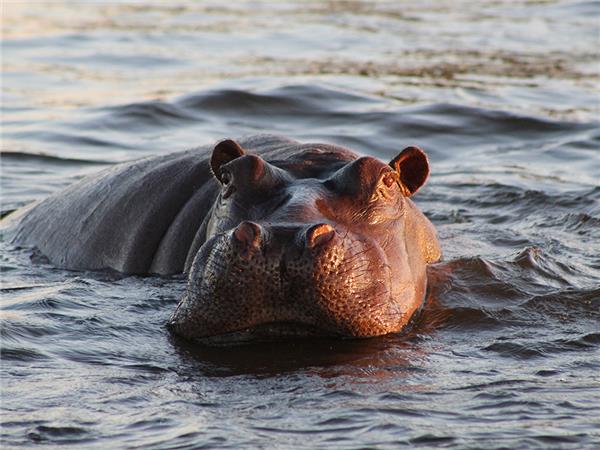 Southern Africa budget holiday