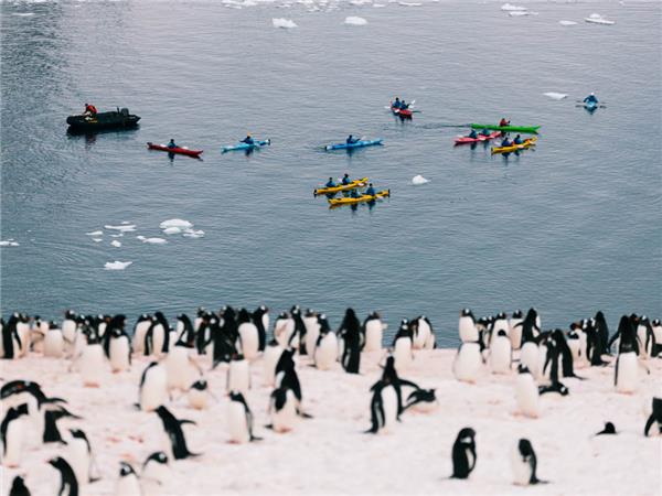 Best of Antarctica holiday