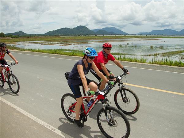 Small group cycling holidays in 2025 2026 Responsible Travel