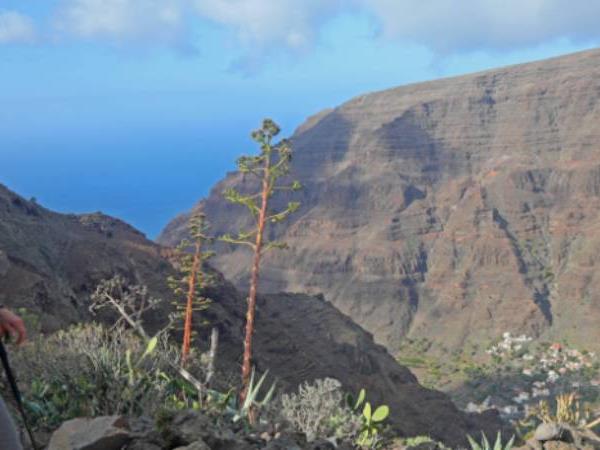La Gomera self guided walking, Canary Islands