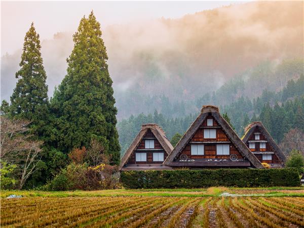 Cycling holiday in Japan