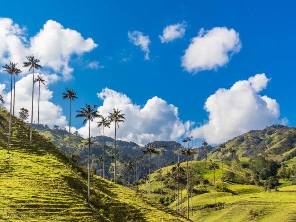 Colombia adventure holiday, viva Colombia