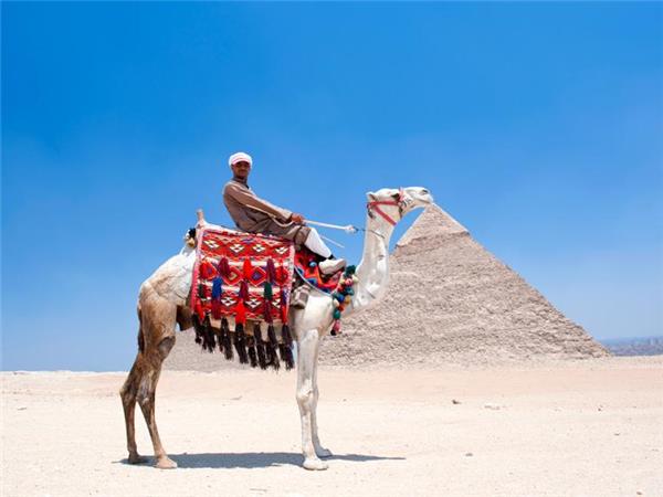 egypt escorted vacation Carole troy escort