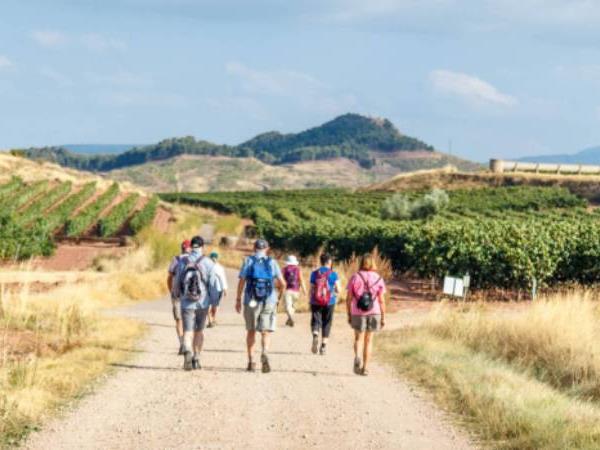 Best of the Camino walking holiday