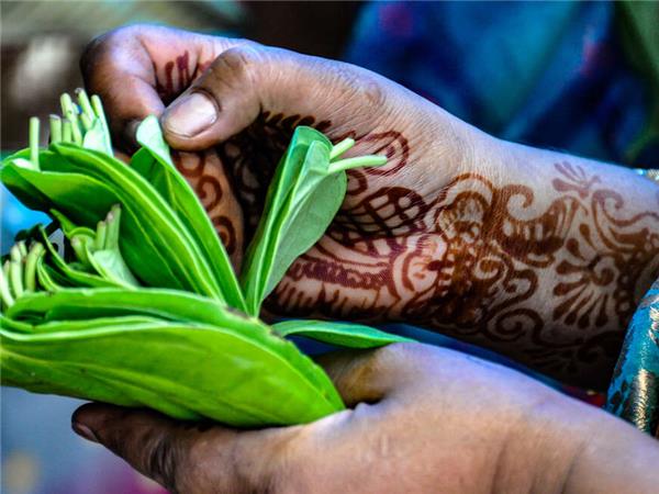 South India food tour
