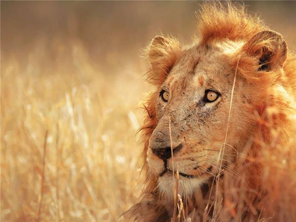 South Africa highlights holiday