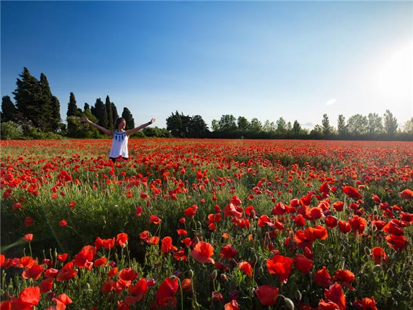 Cycling holiday in Provence