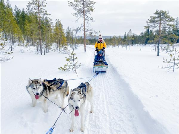 Finland winter activity holiday & Northern Lights