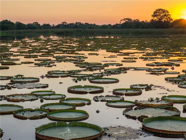 Brazilian Amazon by boat holiday