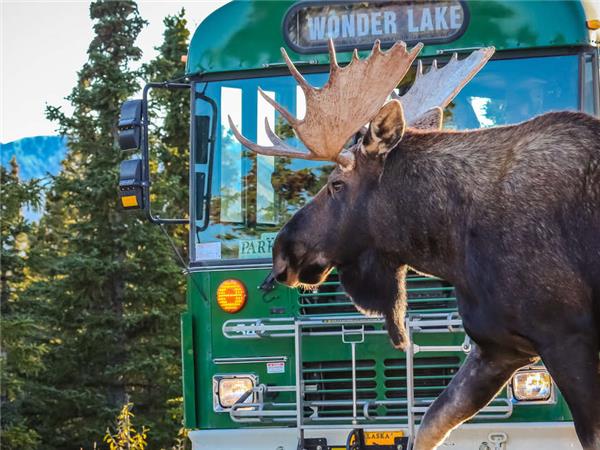 Outdoor Alaska holiday