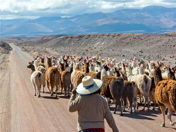 Best of Argentina, Bolivia and Chile holiday