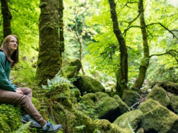 Ring of Kerry walking holiday in Ireland