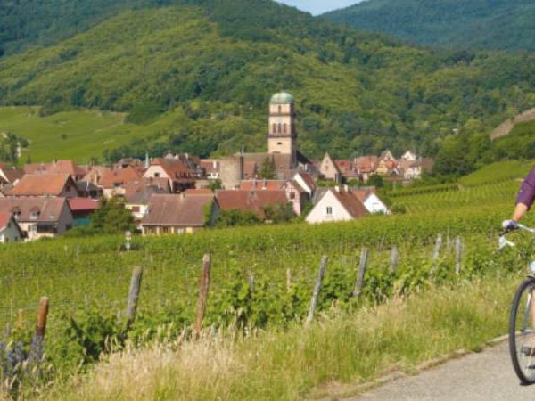 Alsace cycling holiday in France