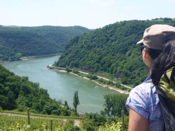 Germany walking holiday, Rhine River & Castles Walk
