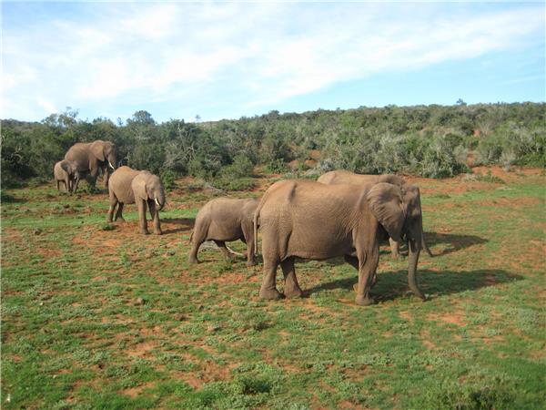 Africa overland tour, Nairobi to Johannesburg