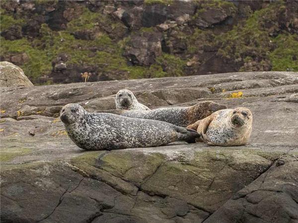 Northumberland wildlife holiday