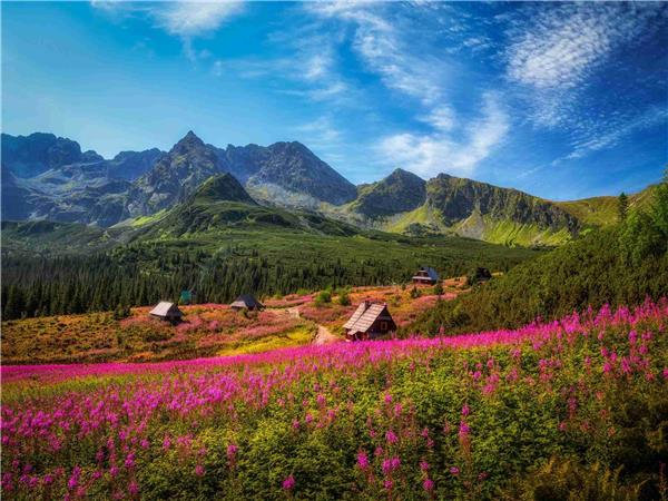 Poland & Slovakia self guided walking holiday