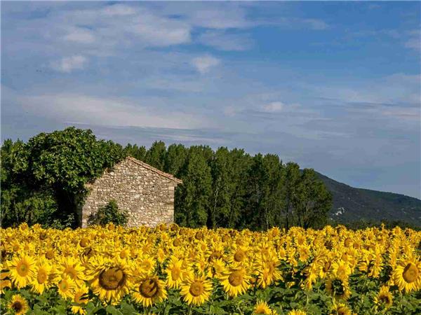 Provence self guided cycling holiday, Avignon to Arles