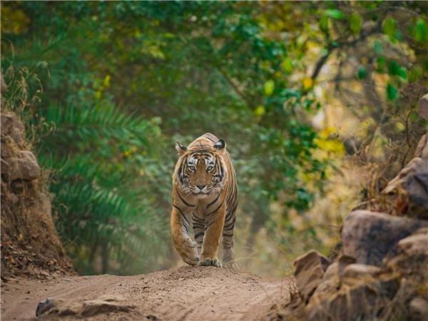India small group tour for families
