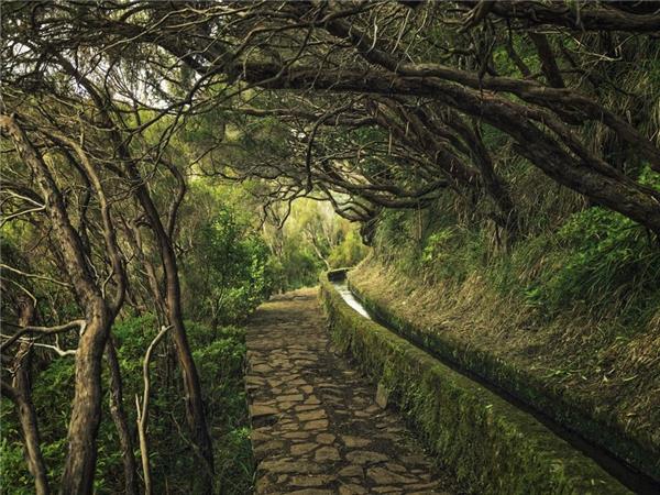 Walking in Madeira, centre based