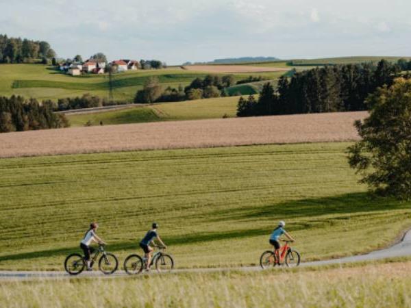 Self guided cycling holidays in 2025 2026 Responsible Travel