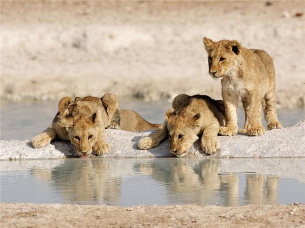 Namibia lodge safari holiday