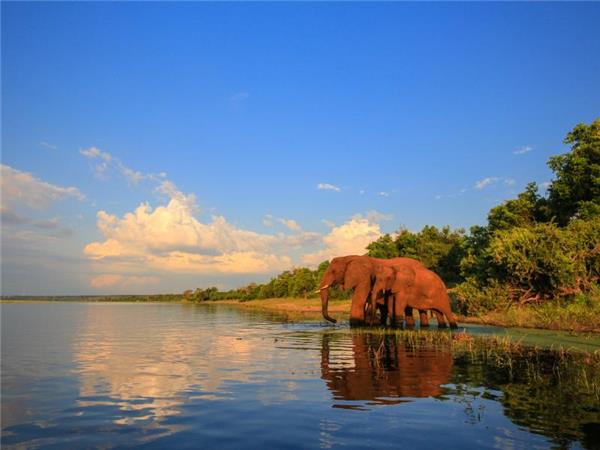 swaziland holidays safaris holidays in swaziland helping dreamers do
